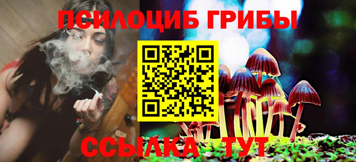 Псилоцибиновые грибы мухоморы Ейск
